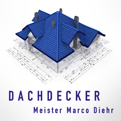 DMD Dachdecker Bild