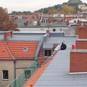 Erneuerung Dacheindeckung und Abdichtung mit Bitumenschweißbahnen Icopal