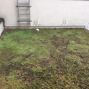 ungewartet